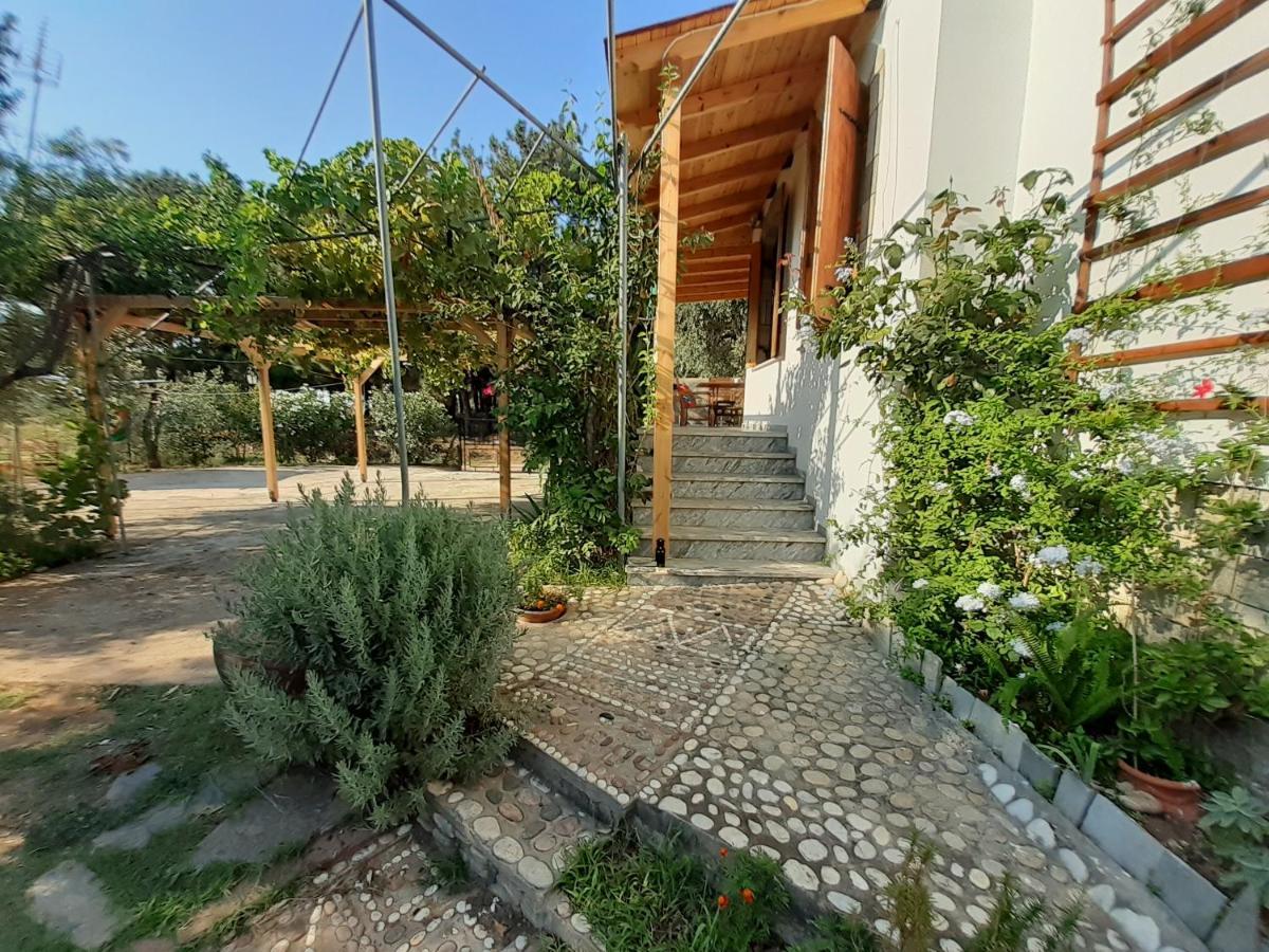 Το Σπίτι Με Το Πηγάδι - Wellcottage Thassos Skala Kallirachis Exterior photo