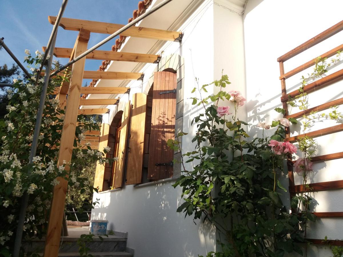 Το Σπίτι Με Το Πηγάδι - Wellcottage Thassos Skala Kallirachis Exterior photo