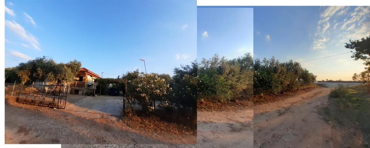 Το Σπίτι Με Το Πηγάδι - Wellcottage Thassos Skala Kallirachis Exterior photo
